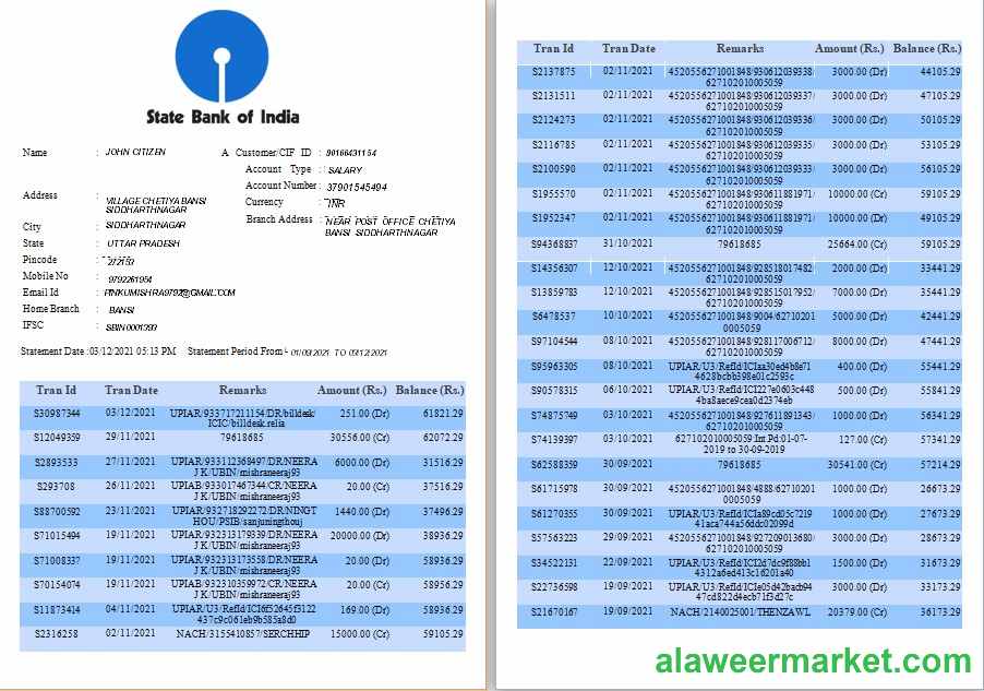 India State Bank of India bank statement template, Word and PDF format, 6 pages